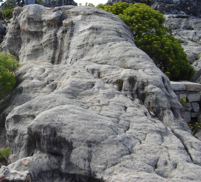 Die Friedenslinie auf dem Tafelberg