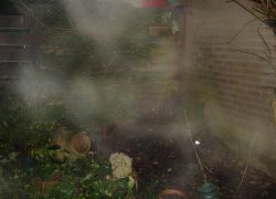 Mists in the garden