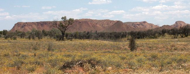 Tnorala, NT, Australia, 2004