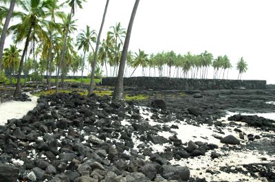 samoa nederland