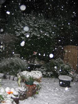 Orbs, sneeuw in de tuin